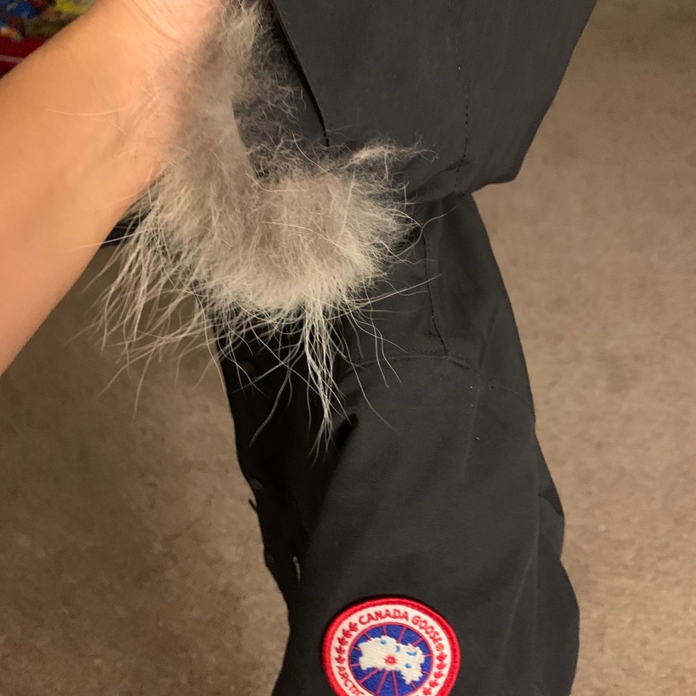 Canada Goose